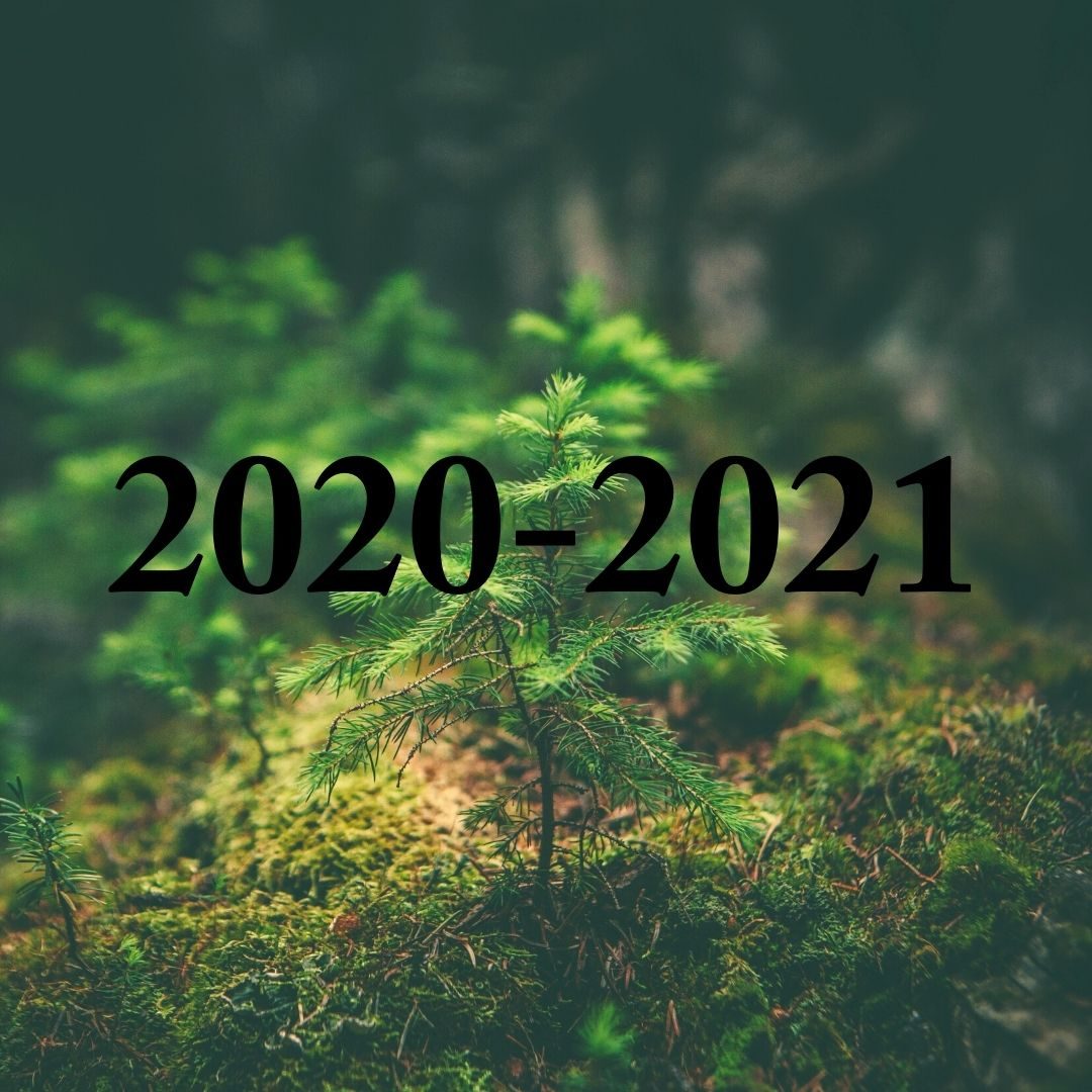 2020-2021 (2)
